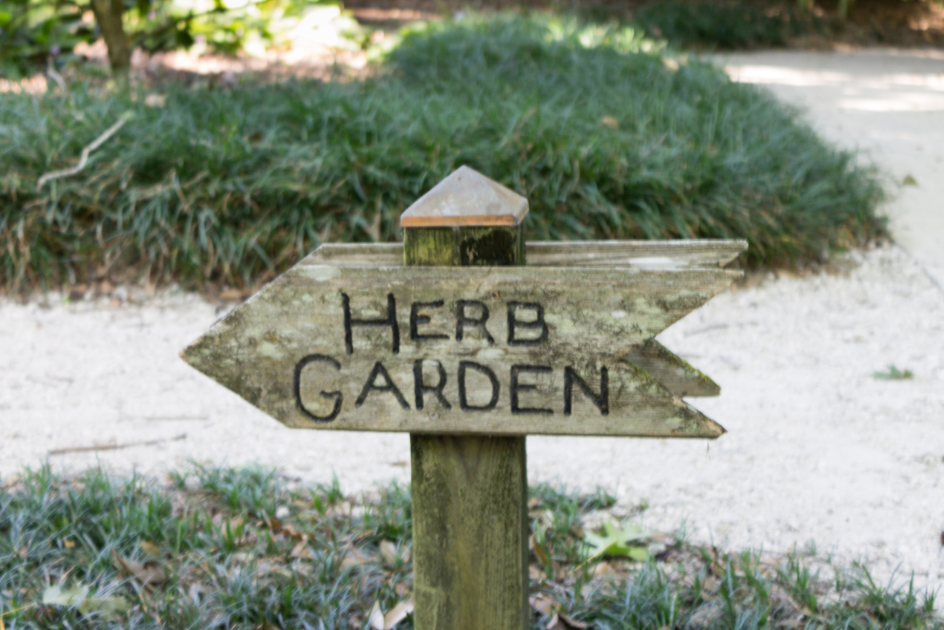 Wooden herb garden sign
